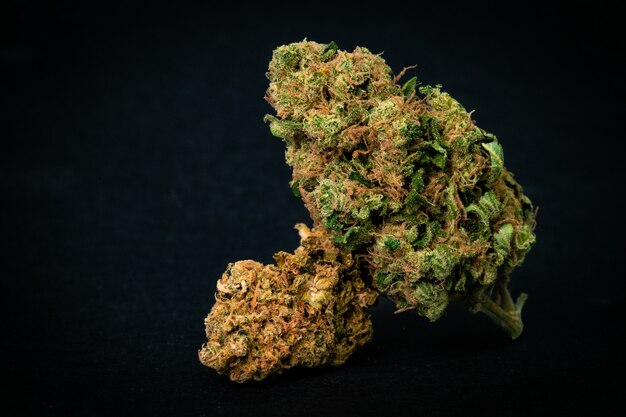 Premium Flower