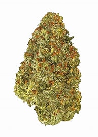 Jack Herer