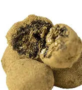 Moon Rocks
