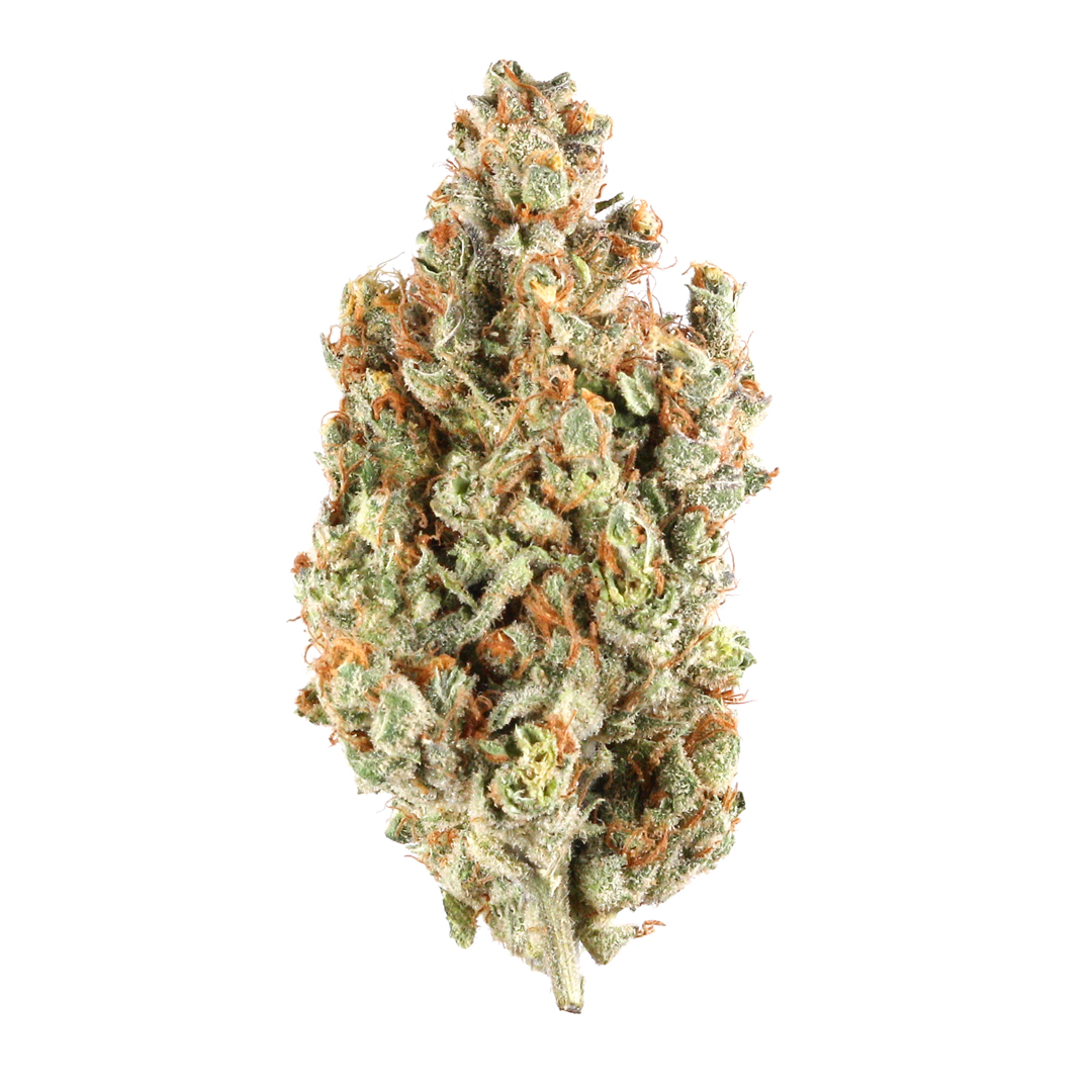 Super Boof (Hybrid)