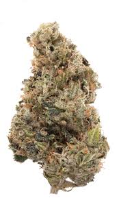 Sour Kush